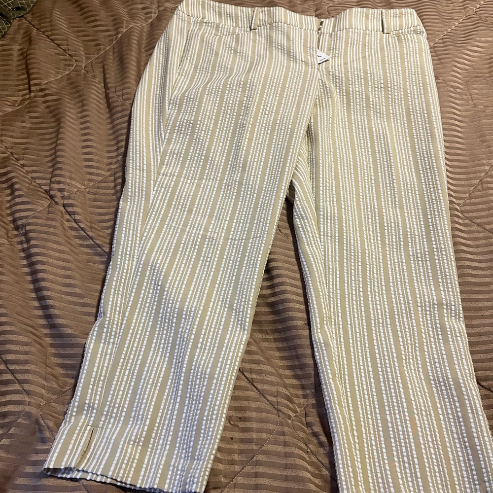 You Get Both Pair Crop Pants